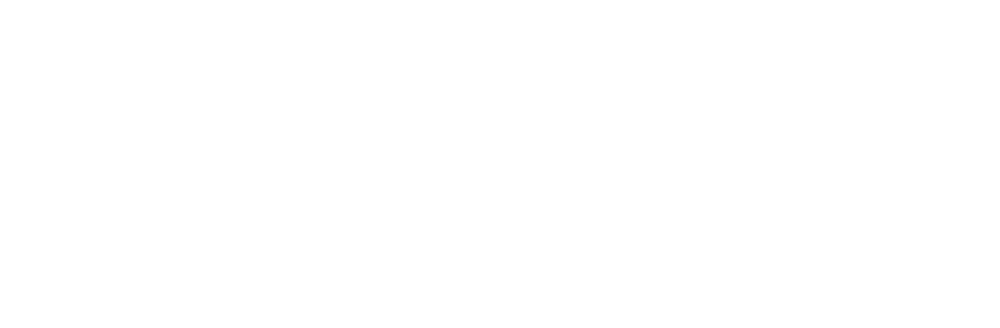 Servicios Sociales Castilla y León